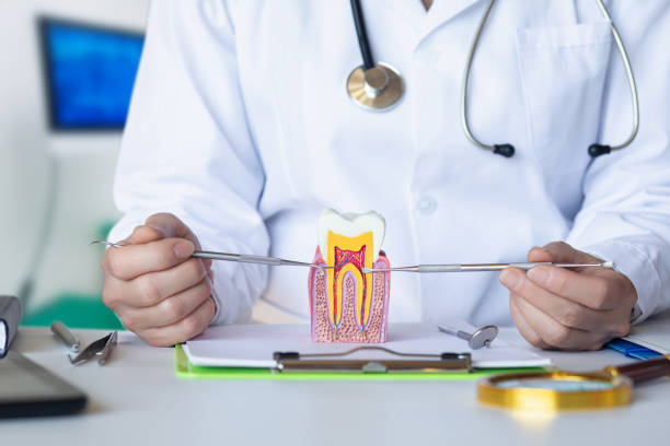 Best Walk-In Emergency Dental Services in Shady Shores, TX